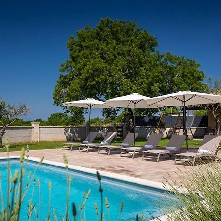 Activity Villa Gita With Pool And Grill In Tinjan Zewnętrze zdjęcie