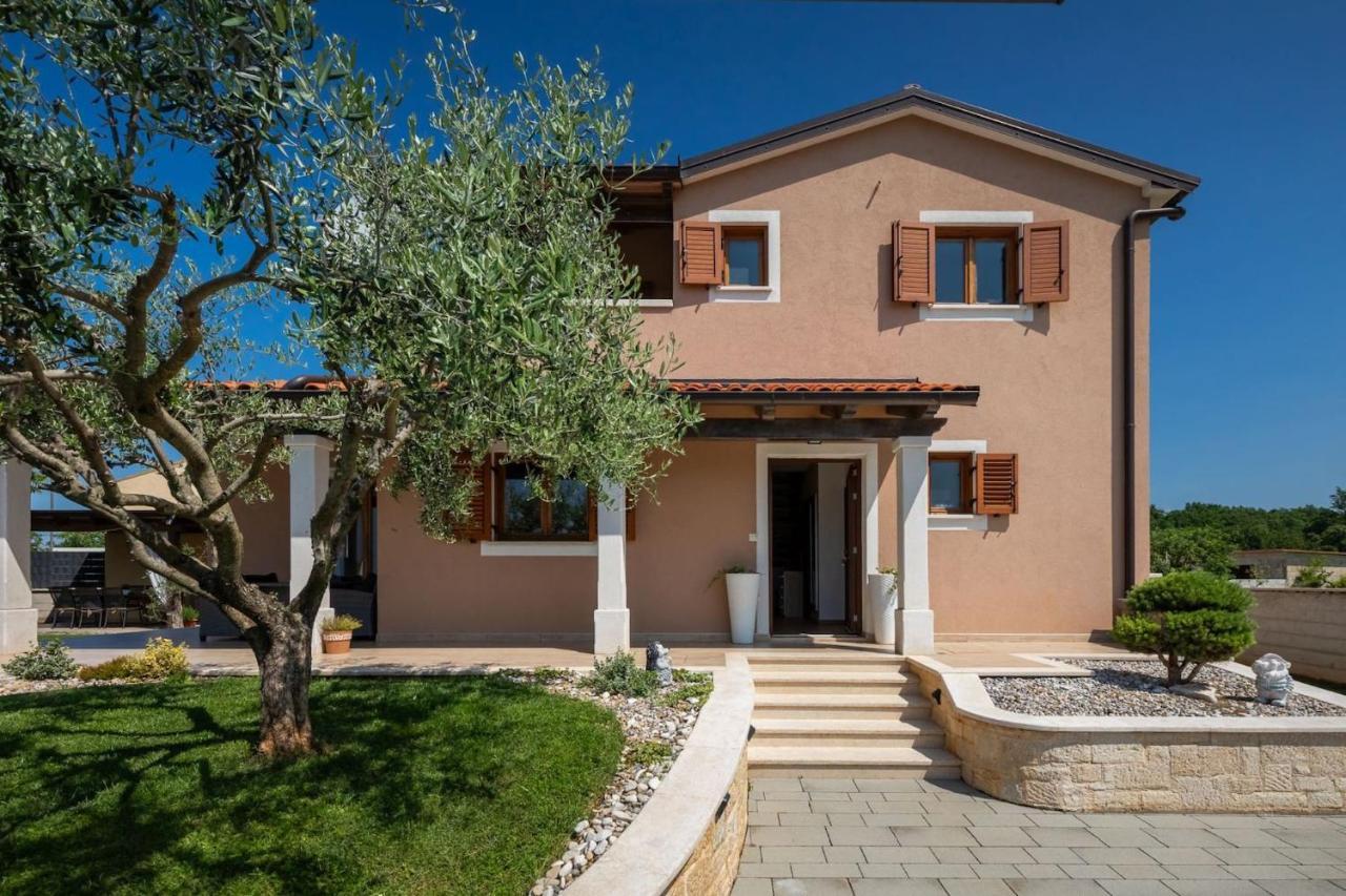 Activity Villa Gita With Pool And Grill In Tinjan Zewnętrze zdjęcie